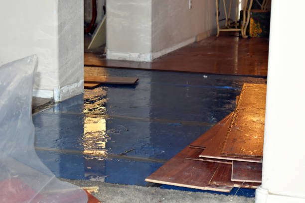 Professional Basement Flood Cleanup technician working in Millington, MI